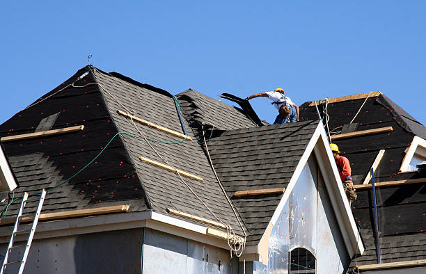 Best Roof Moss and Algae Removal  in Temple, GA